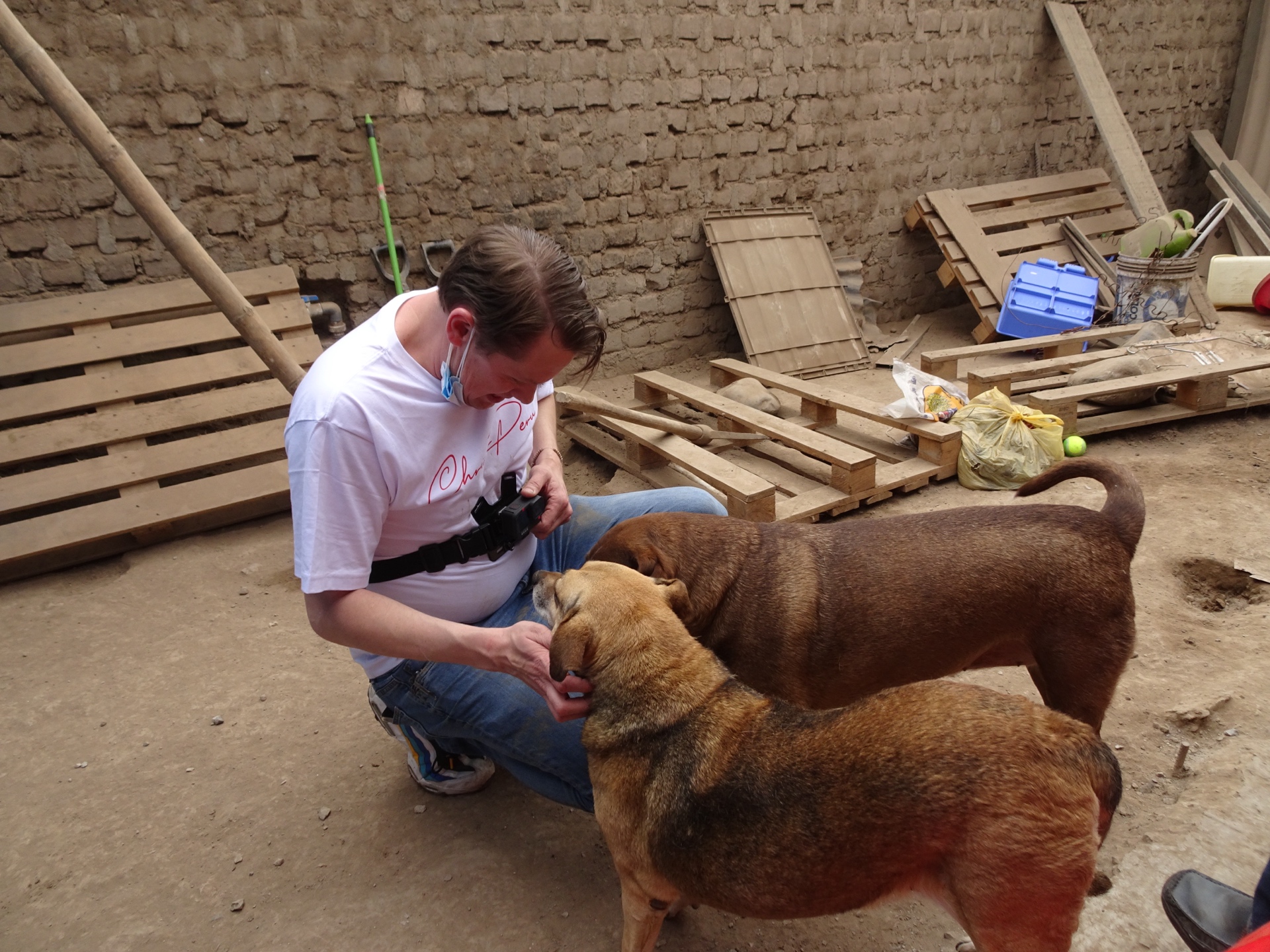 Chris Peru caring for dogs at a Lima dog lot